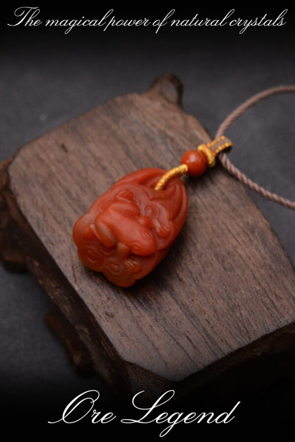 CASVIA High-quality natural raw South Red Agate carved pendant necklace with a magpie motif for good luck - 图片 2