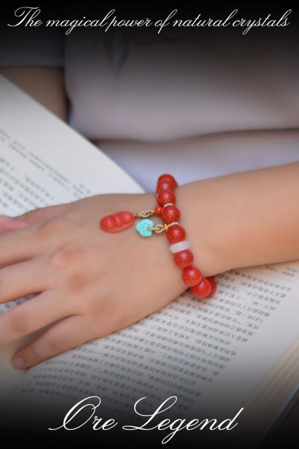 CASVIA Premium Baoshan Southern Red Agate Bracelet with Turquoise - 图片 5