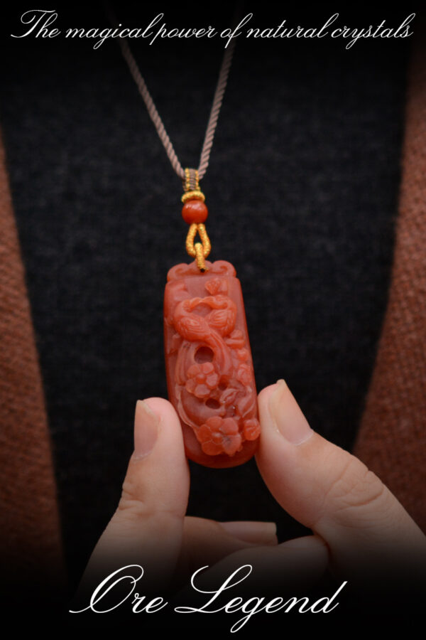 CASVIA High-quality natural raw South Red Agate carved pendant necklace with a magpie motif for good luck - 图片 5